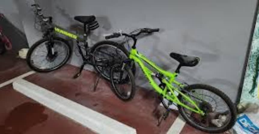 Endurance Bicycles 2
