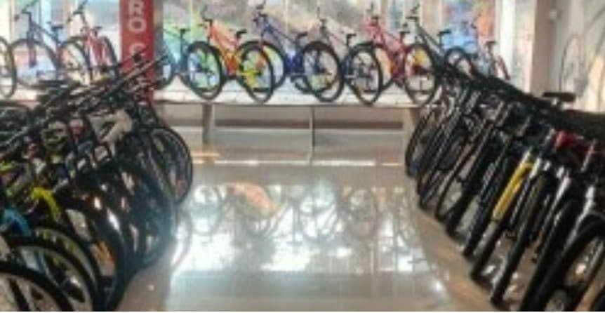 Endurance Bicycles 3