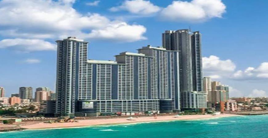 Halema Real Estate 4