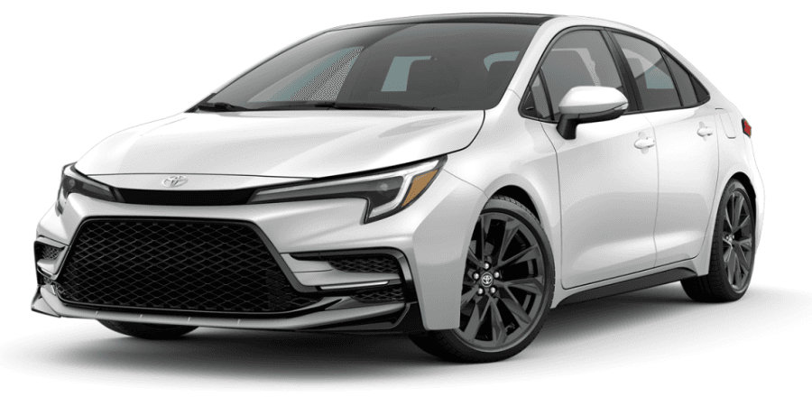 DRIVUS Car Rental 2
