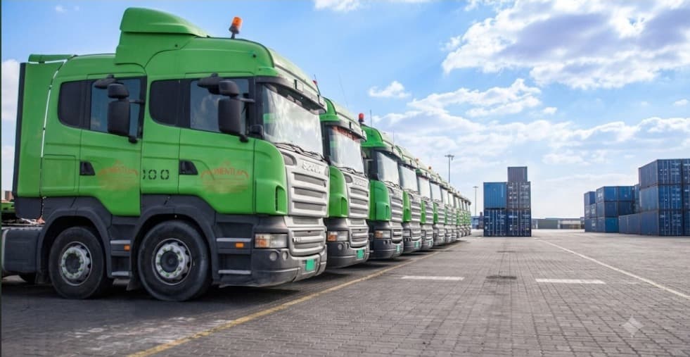 Momentum Logistics 2
