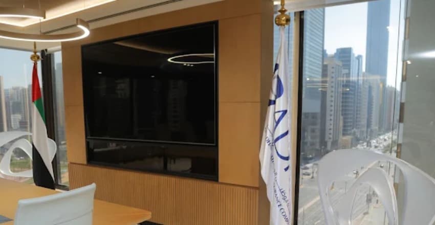 Abu Dhabi National Insurance Company 1