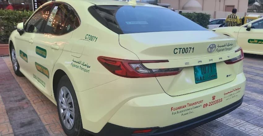 Cars Taxi Company 3