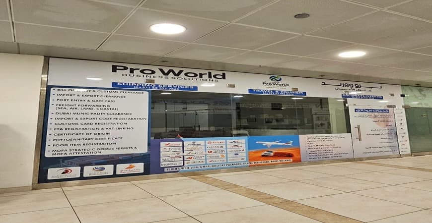 Pro World Business Solutions 3