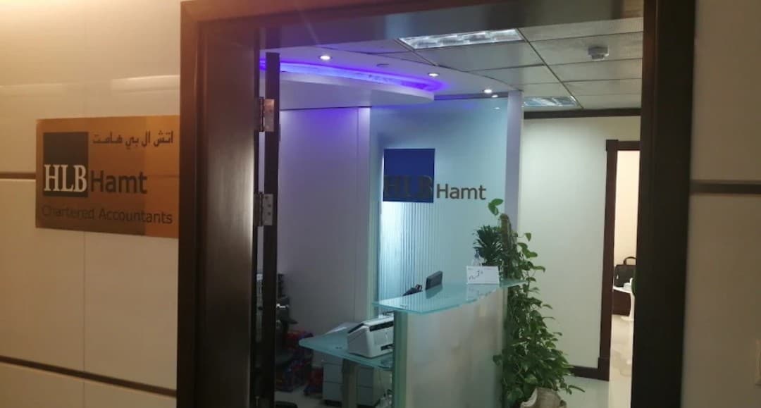 HLB HAMT Management Consultancy 3