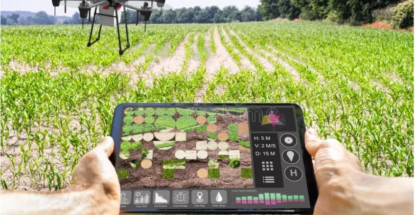 digitalfarm 5