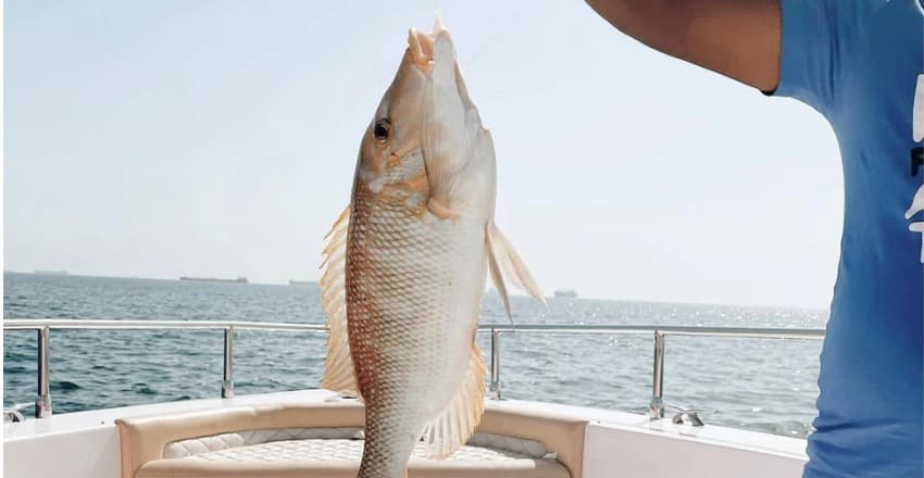 AL Nawras Marine 2