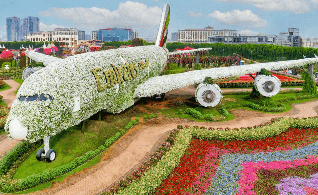 Dubai Dream Tours & Travel LLC 3