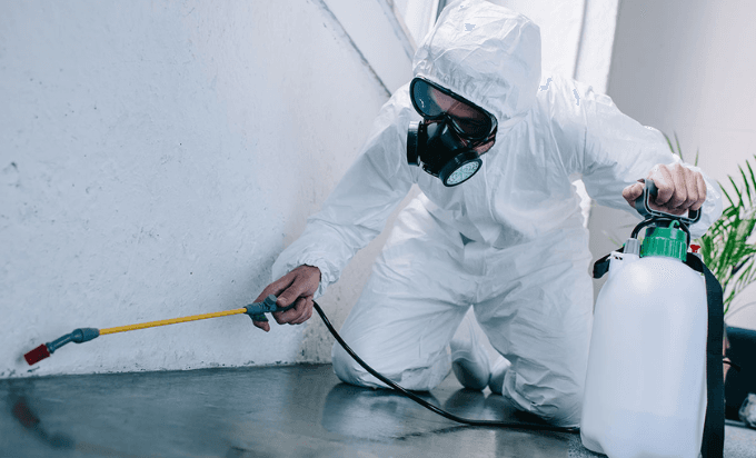 Al Ameen Cleaning and Pest Control 4