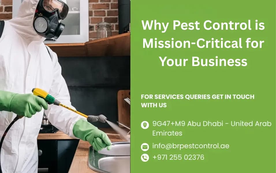 Bright and Rise Properties & Pest Control Service 3