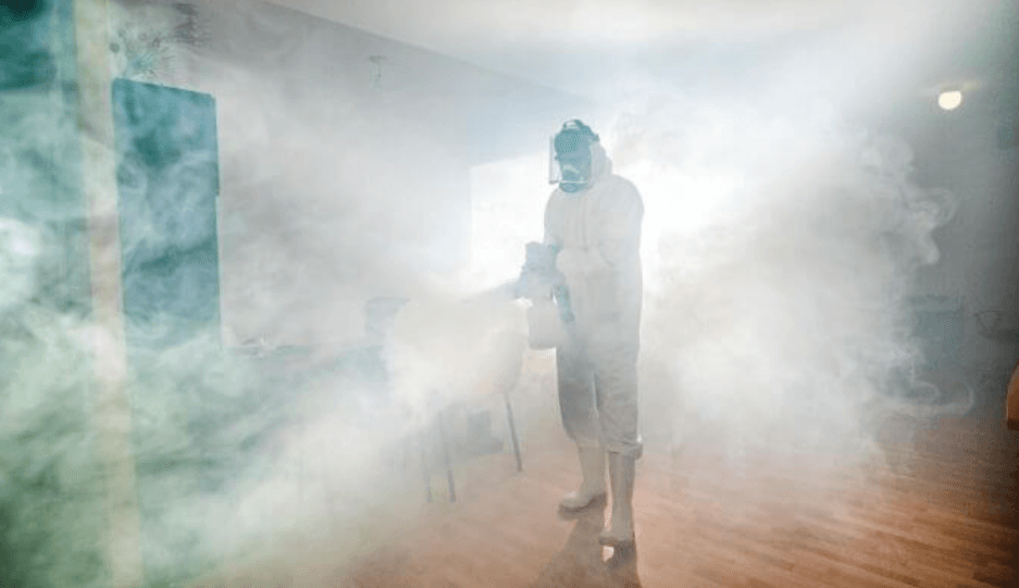 Pestokill Pest Control & Cleaning Services 2
