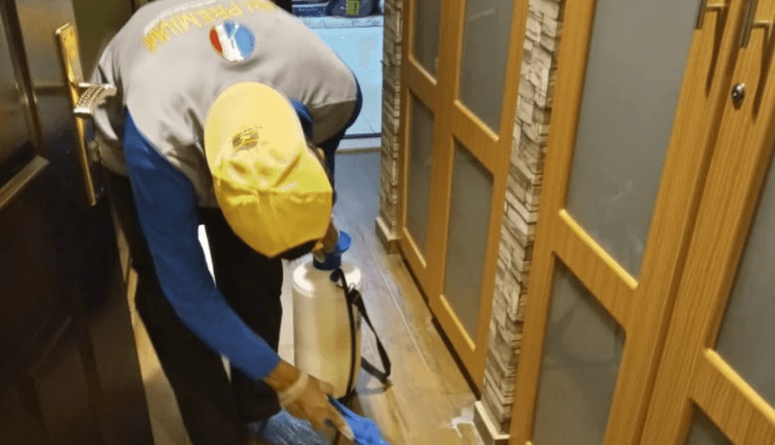 Aim Premium Pest Control and Building Cleaning 5