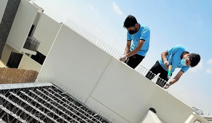 Yalla Pest Control 3
